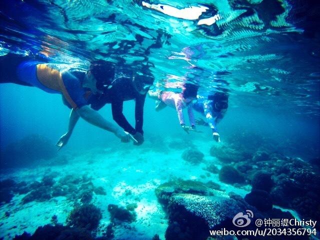 跳动的圆球